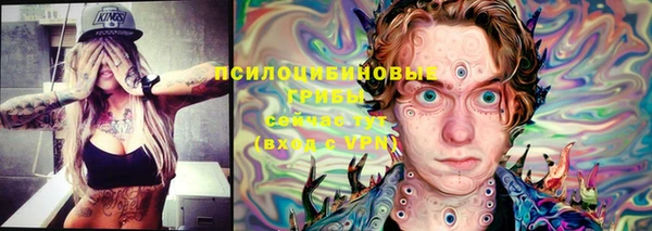 герыч Алексин
