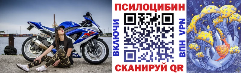 где купить наркотик  ОМГ ОМГ вход  Псилоцибиновые грибы Psilocybe  Анива 